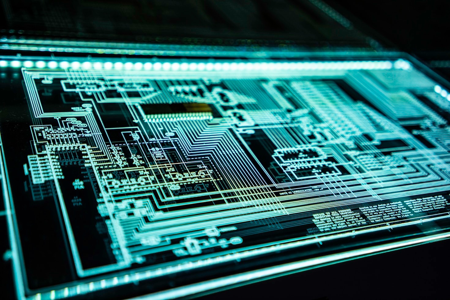 Why Curiosity Drives Success in STEM Fields
